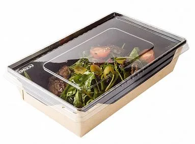 Контейнер бумажный  "ЕСО OpSalad" 500 мл, 160х120х45 мм с прозрачной  крышкой в комплекте, 50 шт/уп