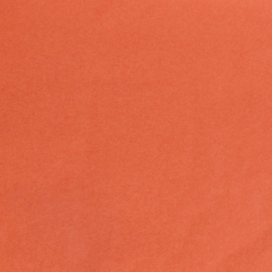 Бумага тишью оранжевая, 50х66 см, 10 листов